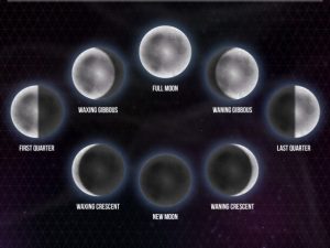 moon-phases f.jpg