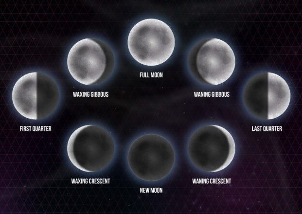 moon-phases f.jpg